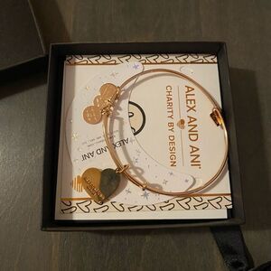 Alex and Ani charm  bracelet